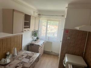 Apartament La Ilie