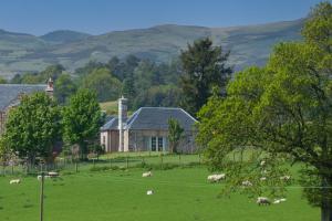 Milton Farm