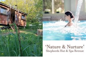 Stunning 1-Bed Cabin in Totnes - 3-star hotels in Totnes