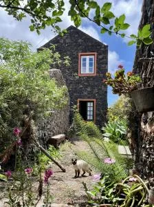 Cozy Rural House Las Guindas, El Hierro - Mocanal