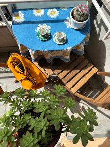 PR - appartamento in centro a Roma