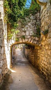 Apartments Villa Cardo