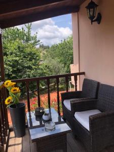 Daisy rooms Skiathos