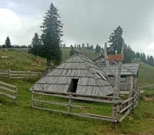 Koča NA PIRČO'V - Gojška planina - 雷兹夫图新