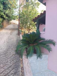 Βίλα Πασιθέα