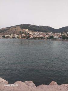 Βίλα Πασιθέα