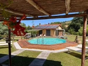 Casa delle Viole - Террануова-Браччоліні