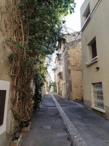 Appartements Duplex La Terrasse Jasmin : photos des chambres