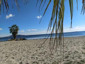Appartements Duplex La Terrasse Jasmin : photos des chambres