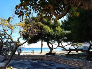 Appartements Duplex La Terrasse Jasmin : photos des chambres