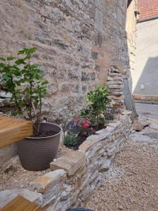 Maisons de vacances Le Logis Sereinite : photos des chambres