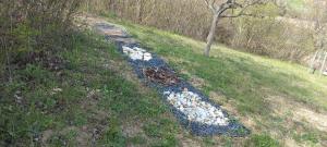 Press House at the Walnut Tree - MyPressHouse