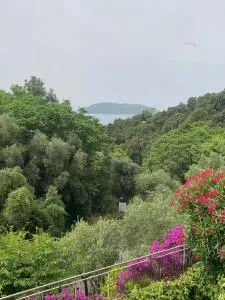 Oasi Verde 1 - Muggiano