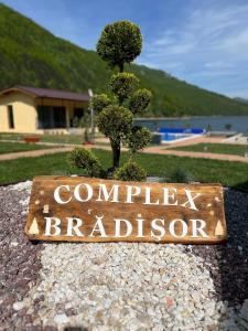 Complex Brădișor