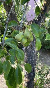 Hestia Greekgod Apartments