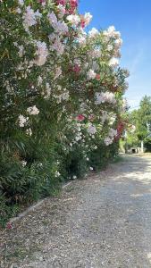 Hestia Greekgod Apartments