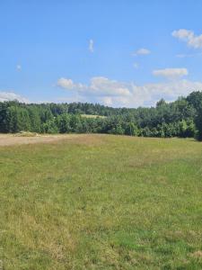 Domek Dotyk rosy na Kaszubach