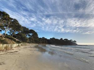 Appartements Bormes-les-Mimosas: Appt climatise, 5 couchages, parking, grande terrasse - FR-1-251-136 : photos des chambres