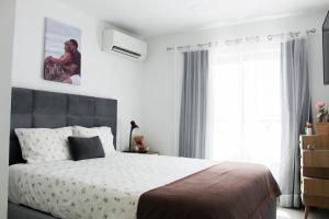 Blossom Cozy Home - 3hvězdičkové hotely ve městě Ponta Delgada