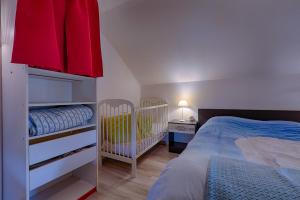 Appartements La Salamandre : photos des chambres