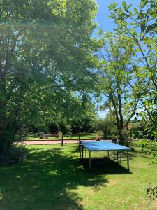 Maisons de vacances Gite au coeur des vignobles : photos des chambres