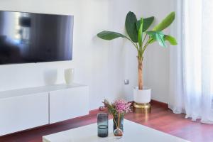 iloftmalaga Calle Parras 37