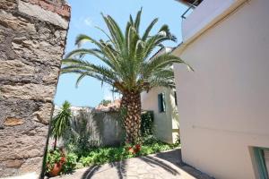 Theofilos Classic Hotel