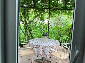 Green Garden Oasis 