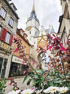 Appartements Aux-Cerfs - A deux pas de l-Abbaye : photos des chambres