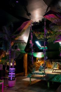 Appartements Dynasty Jungle Home Spa Jacuzzi : photos des chambres
