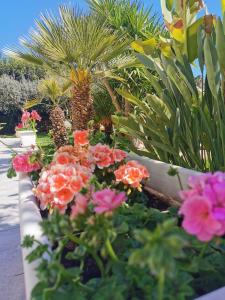 Sabbinirica Vacation House