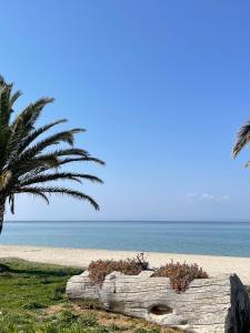 Family House Next To The Beach A
