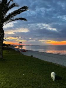 Family House Next To The Beach A