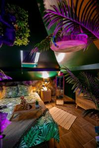 Appartements Dynasty Jungle Home Spa Jacuzzi : photos des chambres