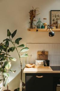 Maisons de vacances Charmante petite maison avec piscine : photos des chambres