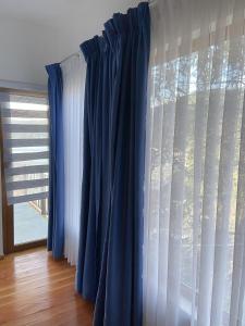 Cabaña Maicolpue Rio Sur