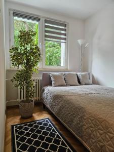 Apartament Przy Lesie