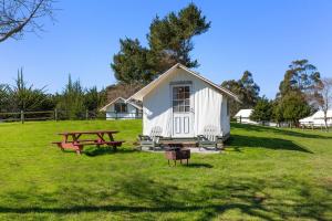 Costanoa