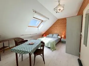 Charmante studette au calme avec terrasse et parking - Prépotin