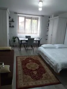 Fully Furnished Studio - Cîmpu Negru Fully Furnished Studio - Cîmpu Negru