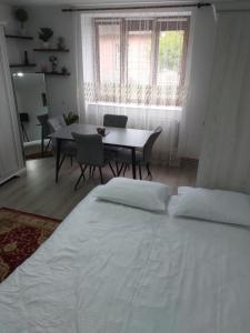 Fully Furnished Studio