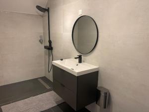Full House, Jacuzzi, Netflix, 8 pers, free Parking 10 Colmar