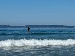B&B / Chambres d'hotes Les sternes : photos des chambres