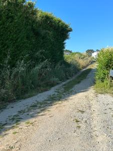 B&B / Chambres d'hotes Les sternes : photos des chambres