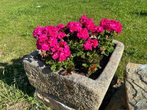 B&B / Chambres d'hotes Les sternes : photos des chambres