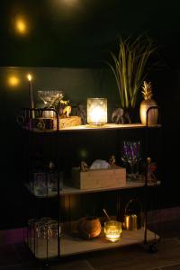 Appartements Dynasty Jungle Home Spa Jacuzzi : photos des chambres