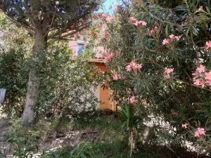 Bel appartement bord de mer - Cerbère