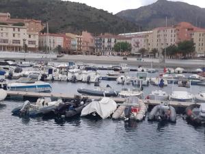 Bel appartement bord de mer