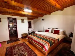 Maya & Elena - Cîrţa