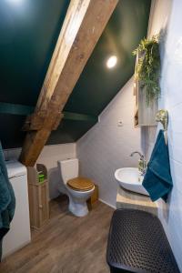 Appartements Dynasty Jungle Home Spa Jacuzzi : photos des chambres